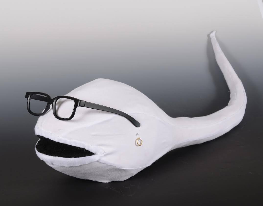 11850602_916476481772869_8970181704770827442_o